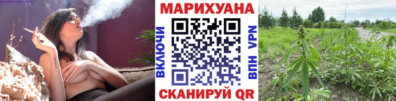 Купить где Кимовск Конопля тримм